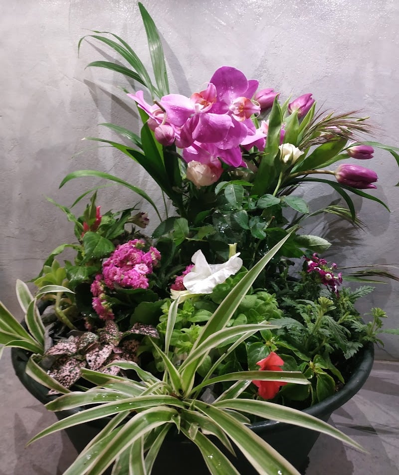 Cournon Floral - 1