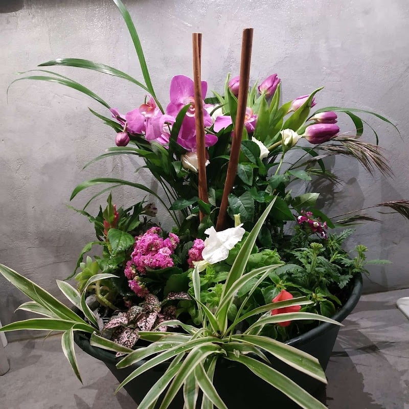 Cournon Floral - 4